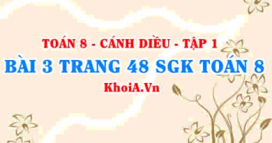 Bài 3 trang 48 SGK Toán 8 tập 1 Cánh Diều